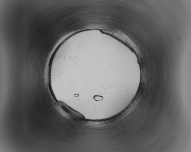 X0000086761140200705111710