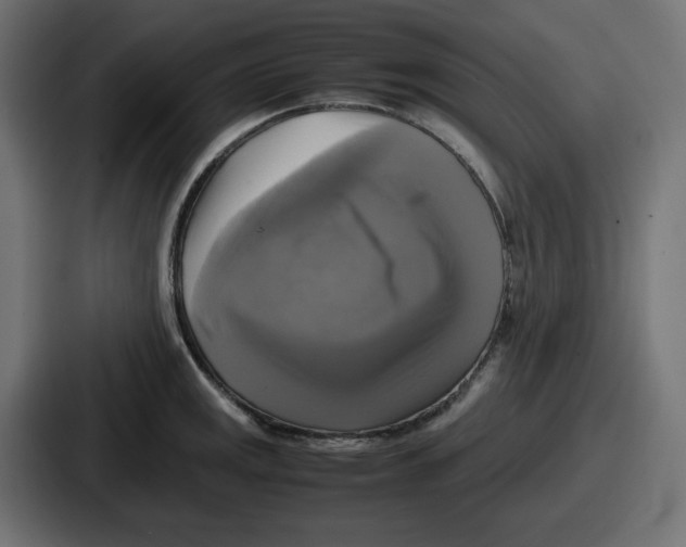 X0000086761141200705111710