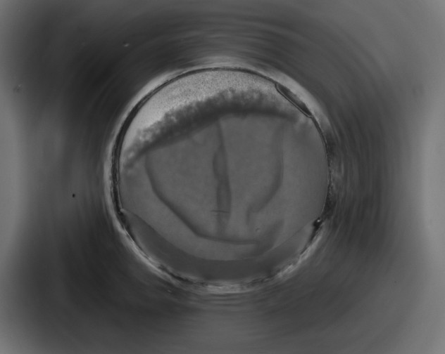 X0000086761142200705111710