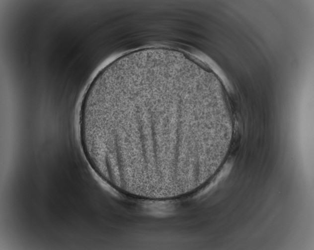 X0000086761143200705111710