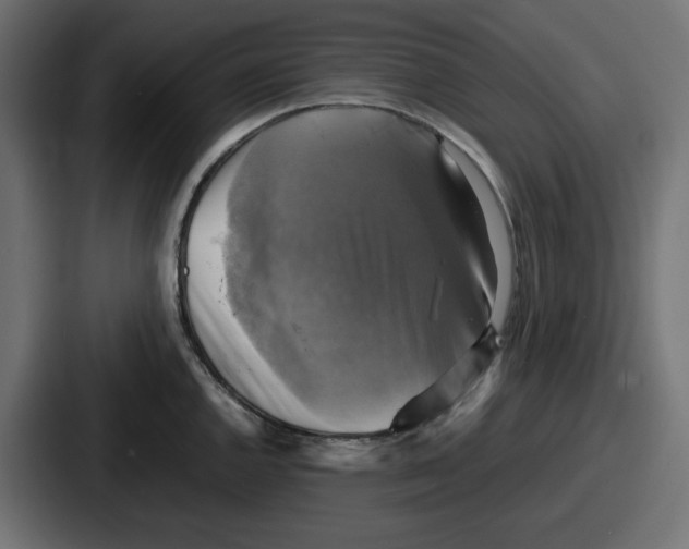 X0000086761144200705111710