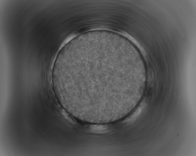 X0000086761145200705111710