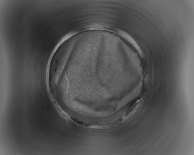 X0000086761146200705111710