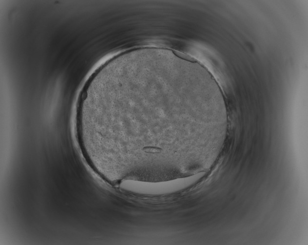 X0000086761147200705111710