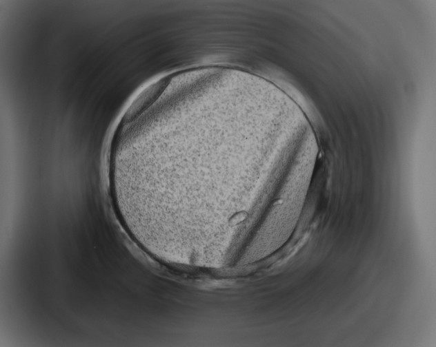 X0000086761148200705111710