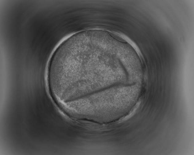 X0000086761149200705111710