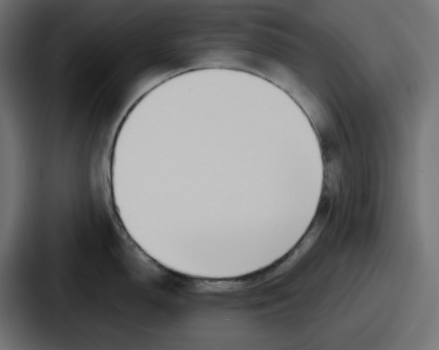 X0000086761150200705111710