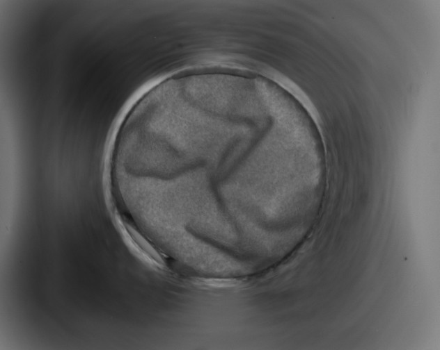 X0000086761152200705111710