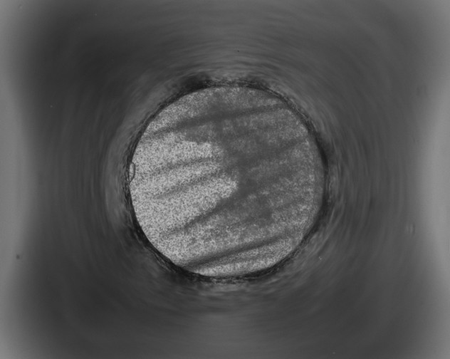 X0000086761153200705111709