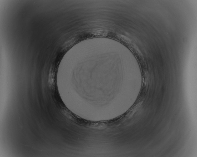 X0000086761154200705111709