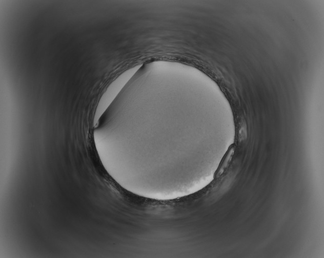 X0000086761156200705111709