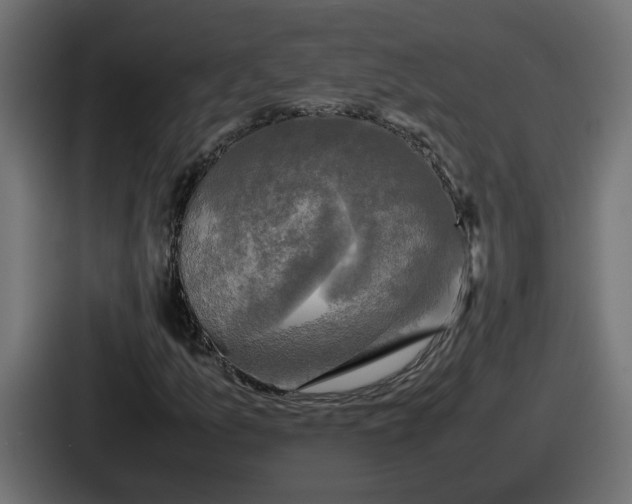 X0000086761157200705111709