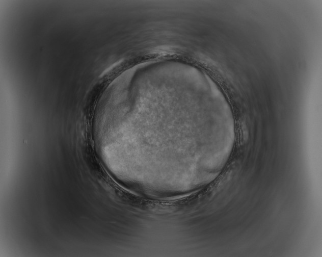 X0000086761158200705111709