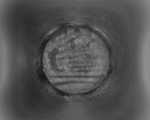 X0000086761159200705111709