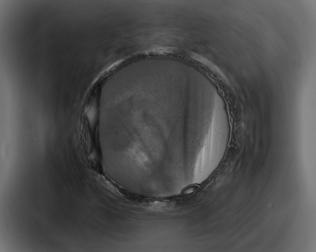 X0000086761160200705111709