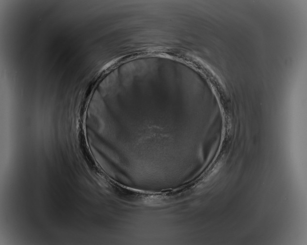 X0000086761161200705111709