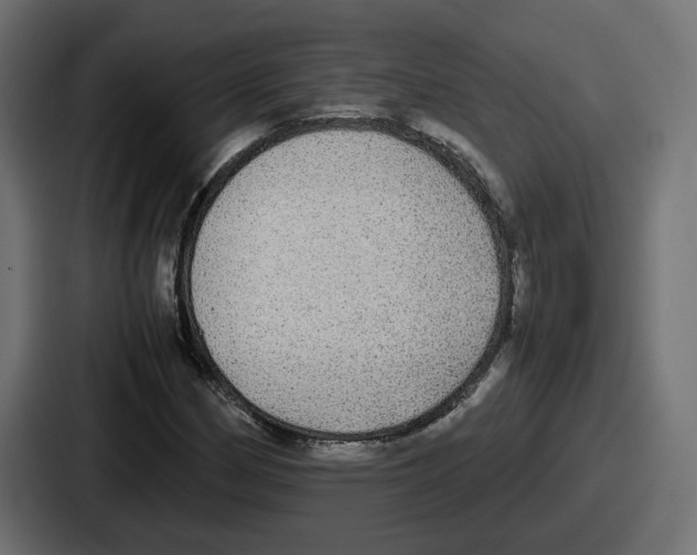 X0000086761162200705111709