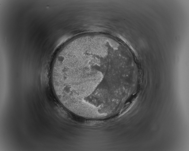 X0000086761163200705111709