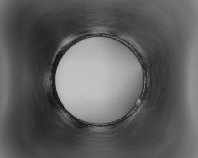 X0000086761164200705111709