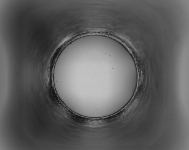 X0000086761165200705111709