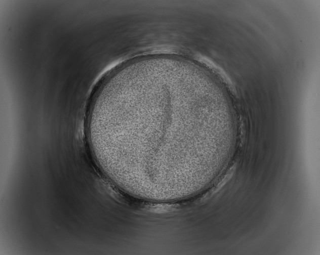 X0000086761166200705111709