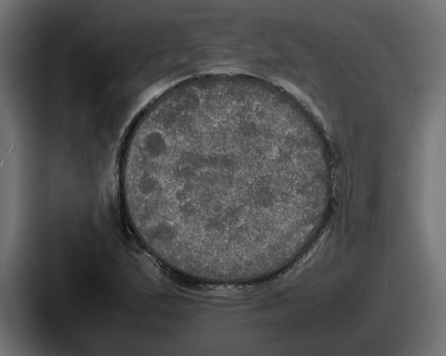 X0000086761167200705111709