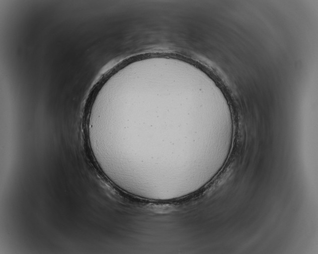 X0000086761168200705111709