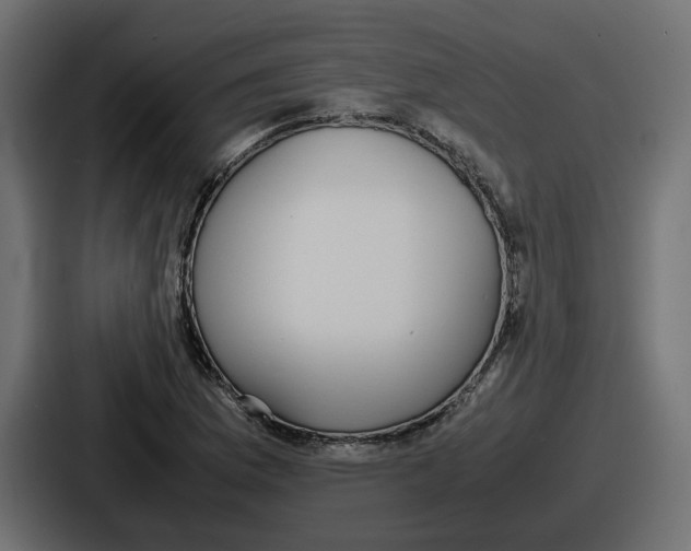 X0000086761169200705111709