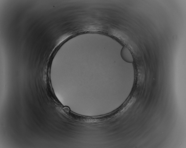 X0000086761170200705111709