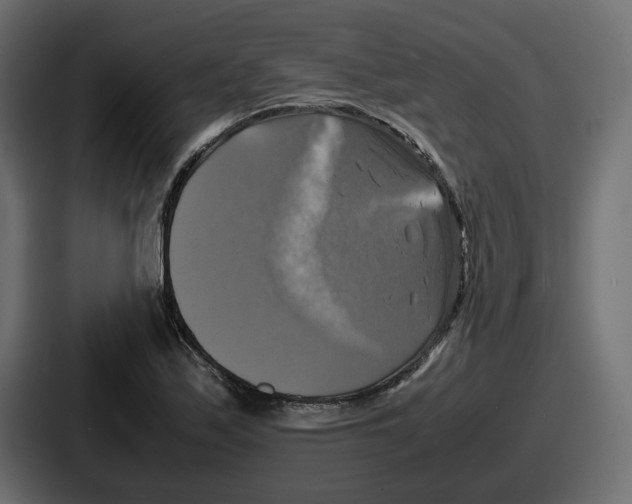 X0000086761171200705111709