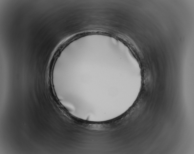 X0000086761172200705111709