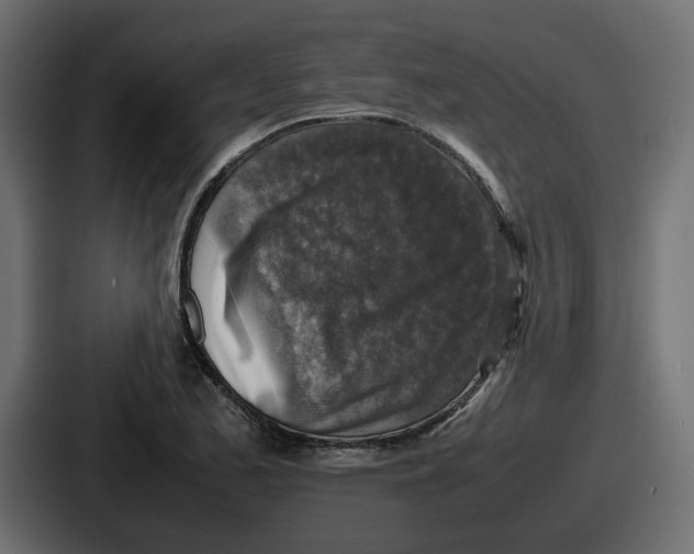 X0000086761173200705111709