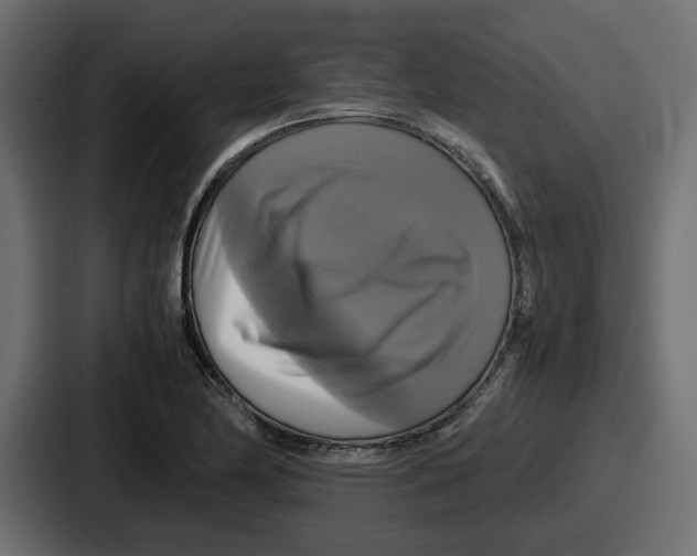 X0000086761174200705111709