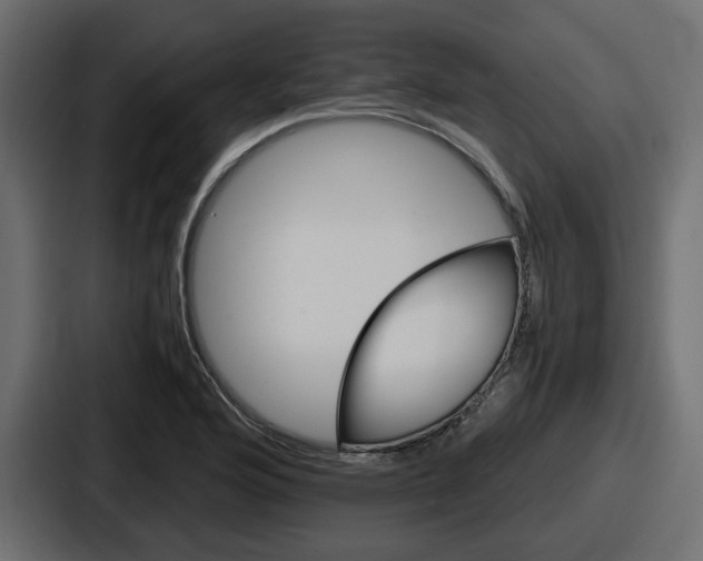 X0000086761176200705111709