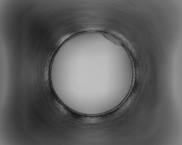 X0000086761177200705111709