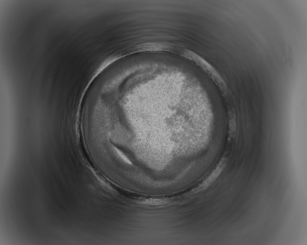 X0000086761178200705111709