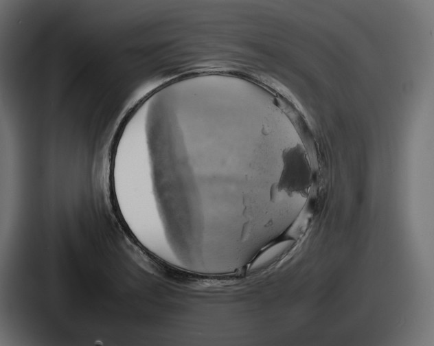 X0000086761179200705111709