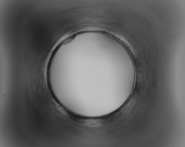 X0000086761181200705111709