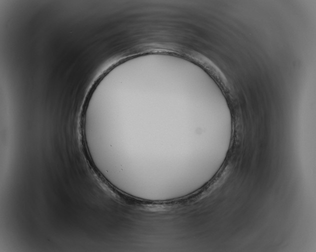 X0000086761182200705111709