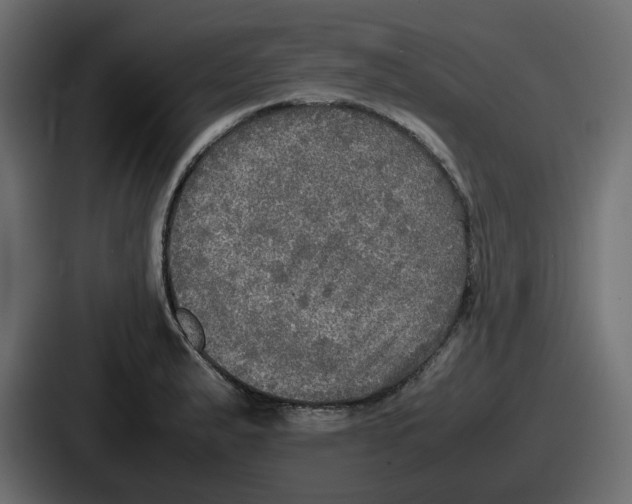 X0000086761183200705111709