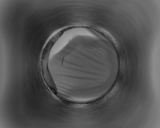 X0000086761184200705111709