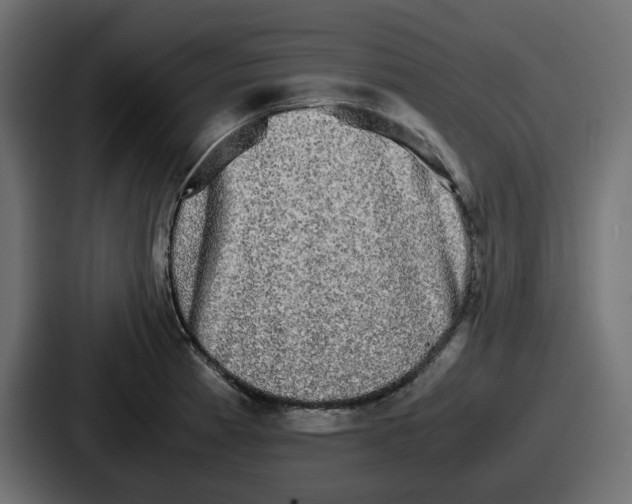 X0000086761185200705111709