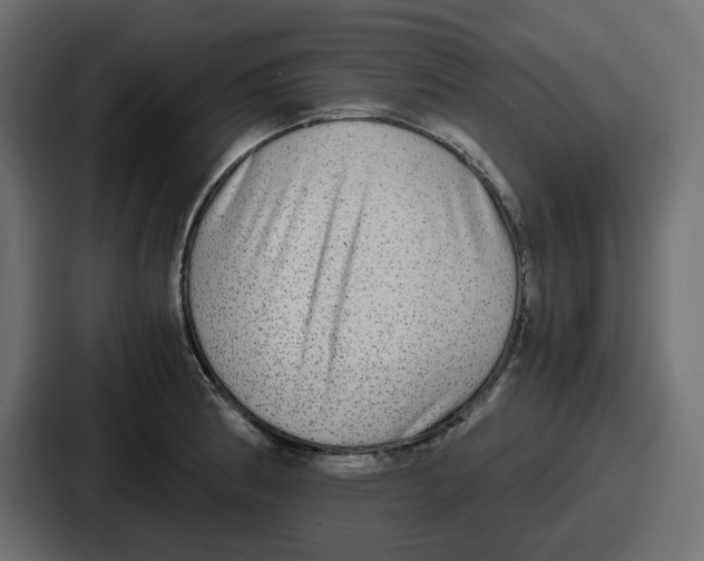 X0000086761186200705111709