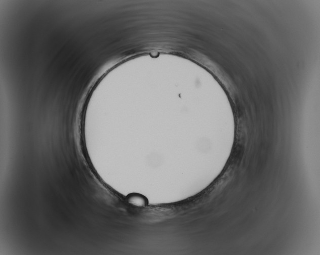 X0000086761187200705111709