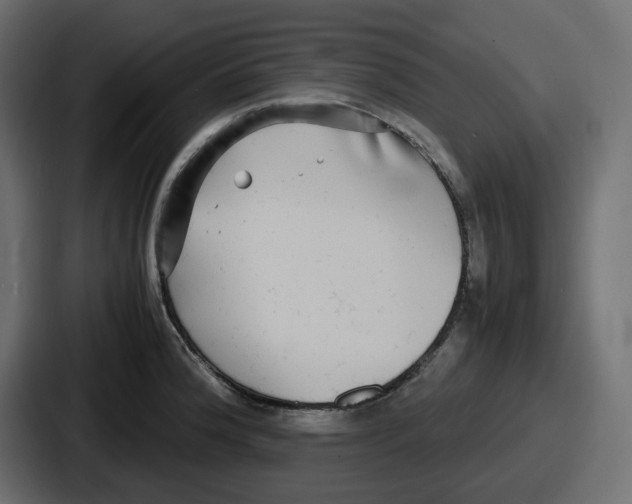 X0000086761188200705111709