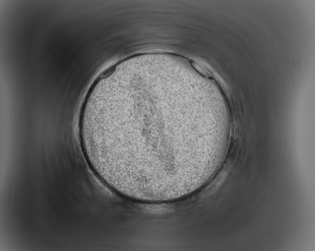 X0000086761189200705111709