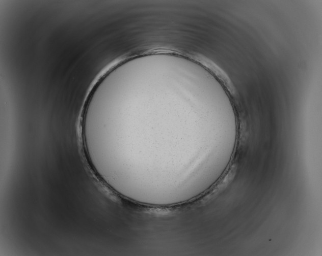 X0000086761190200705111709