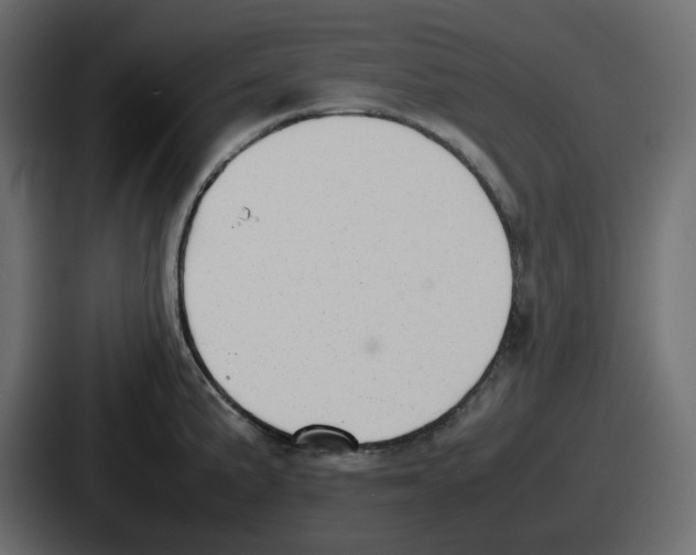 X0000086761191200705111709