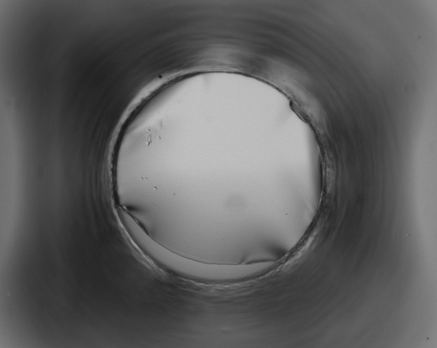 X0000086761192200705111709