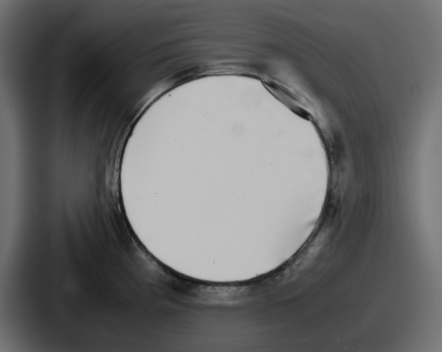 X0000086761193200705111709